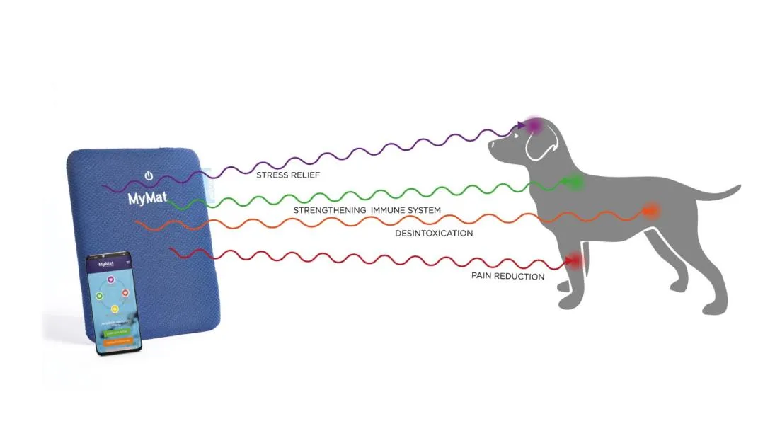 Cambios a realizar al sitio web de MyMat V(3.1).pdf-image-126_679b17acdb18e